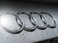 Поликлиновой ремень AUDI 053903137A