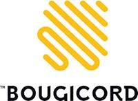 Катушка зажигания BOUGICORD 155479