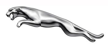 Антифриз; Антифриз JAGUAR JLM209722