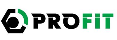 Газовая пружина, крышка багажник PROFIT 2015-0299